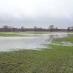 überflutete Felder, Burgdorf Süd