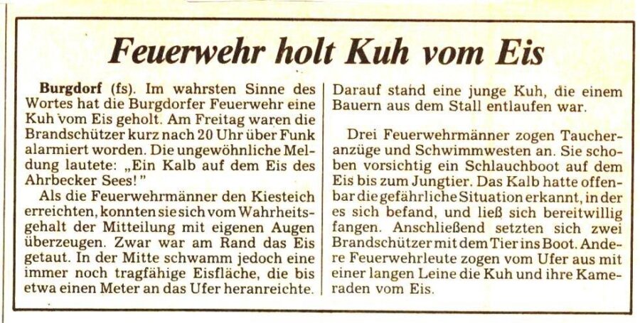 Kuh vom Eis 1.Maerz 1991